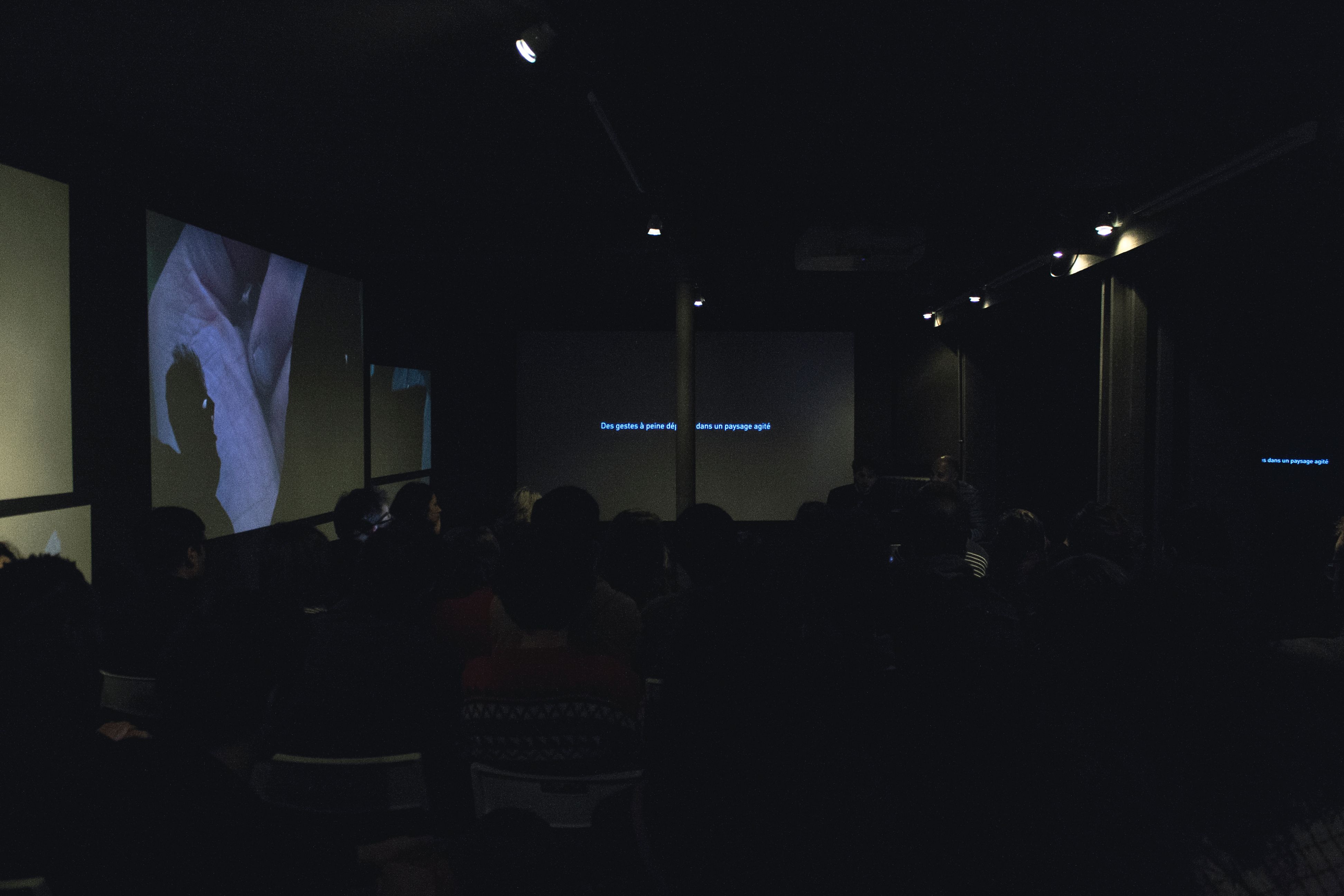 _MG_4384.jpg